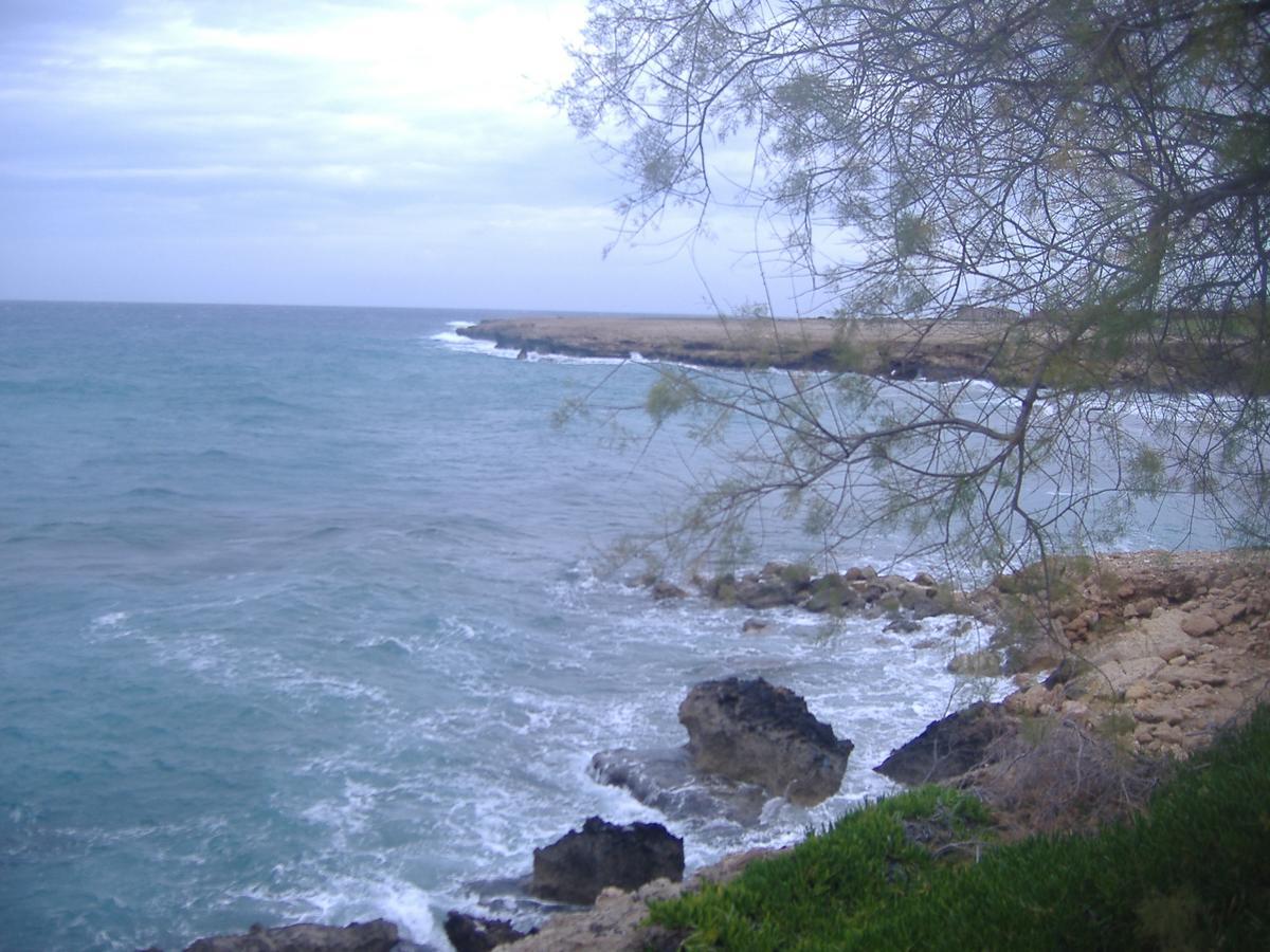 Theresa Hotel At Karpaz Peninsula Ayia Trias Kültér fotó